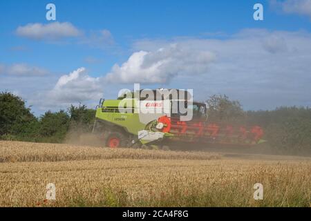 Récolte d'hiver vue rapprochée de la face avant de la moissonneuse-batteuse combinée Travail dans le champ récolte de récolte Sunny ciel nuageux format Paysage Banque D'Images