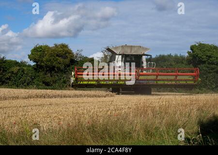 Récolte d'hiver vue rapprochée de la face avant de la moissonneuse-batteuse combinée Travail dans le champ récolte de récolte Sunny ciel nuageux format Paysage Banque D'Images