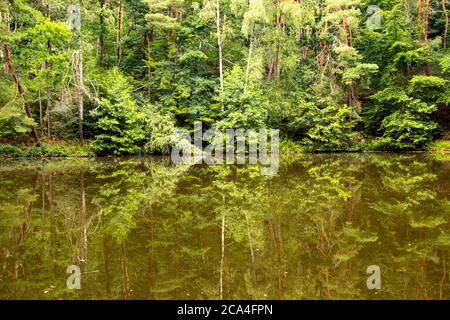 repelction de la limite la plus foante dans un lac, à l'extérieur Banque D'Images