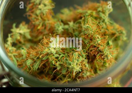 Photo macro des bourgeons de marijuana. Le cannabis est une drogue psychoactive utilisée à des fins médicales ou récréatives. Gros plan des mauvaises herbes avec bokeh Banque D'Images