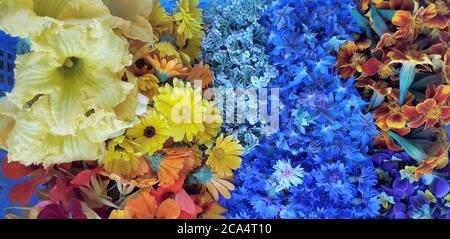 Toutes les fleurs fraîches du jardin sont prêtes à être servies dans des salades et d'autres plats Banque D'Images