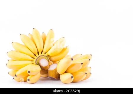 Lady Finger banane et main de bananes dorées sur fond blanc saine Pisang Mas Banana fruits alimentation isolée Banque D'Images