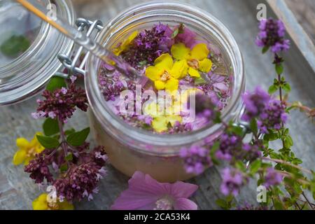 Husten-Oxymel, Hutenoxymel, Oxymel, Honig, Essig, Blüten, Blütenhonig, Blüten-Honig, WildBlumen-Honig, Wildblüten-Honig, Hutenhonig, Husten-Honig. T Banque D'Images