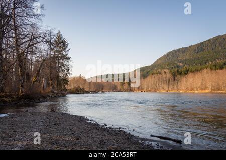 Vue en aval de la rivière Kalum à Deep Creek, le matin du printemps, près de Terrace, région de Skeena, Colombie-Britannique, Canada Banque D'Images