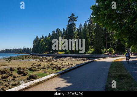 Vancouver, Canada - le 27 juillet 2017 : le mur de mer du parc Stanley le jour de l'été à marée basse à Coal Harbour, Vancouver Banque D'Images