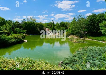 France, Côte d'Or, Dijon, parc de Suzon, jardin japonais Banque D'Images