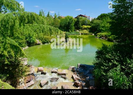 France, Côte d'Or, Dijon, parc de Suzon, jardin japonais Banque D'Images