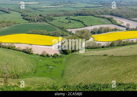 Vue sur les champs de patchwork à Sussex, un jour de printemps ensoleillé Banque D'Images