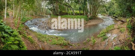 Ruisseau coulant dans la forêt verte, Kapaa, Hawaii, États-Unis Banque D'Images