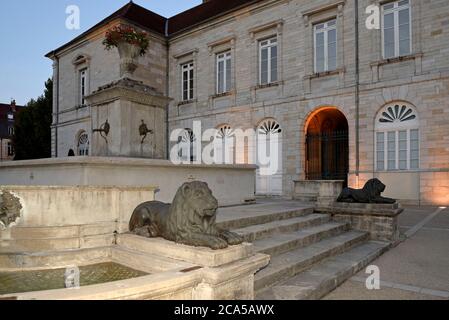 France, Jura, Lons le Saulnier, place de l Hôtel de ville, mairie, fontaine des lions Banque D'Images