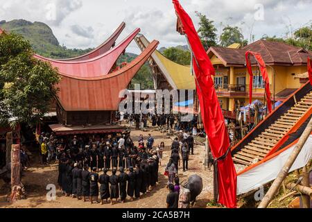 Indonésie, Sulawesi, Tana Toraja, Makale, cérémonie funéraire, vue en hauteur d'un village de maisons traditionnelles et d'une série d'hommes portant le deuil noir Banque D'Images