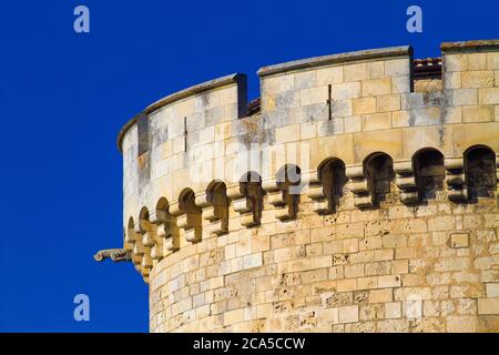 France, Charente-Maritime (17), la Rochelle, Gargouille sur la tour de la Cha?ne Banque D'Images