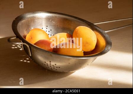 Abricots mûrs juteux dans une passoire en métal sur une table en bois clair au soleil. Gros plan Banque D'Images