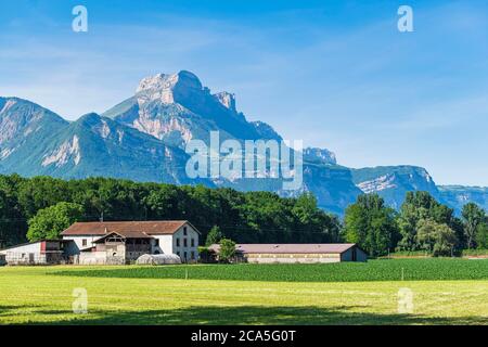 France, Isere, environs de Grenoble, ferme dans la vallée du Grésivaudan, Dent de Crolles dans le massif de la Chartreuse en arrière-plan Banque D'Images