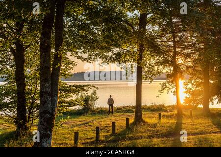 France, Creuse et haute Vienne, Limousin, lac de Vassivière Banque D'Images