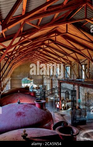 France, Aude, Canal du midi, classée au patrimoine mondial de l'UNESCO, Paraza, intérieur d'une cave à vin Banque D'Images