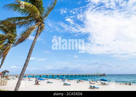 Floride,Broward,Deerfield Beach,palmiers,sable,public,Océan Atlantique,eau,côte,rivage,surf,bains de soleil,Deerfield Beach International Fishing Pier,FL1 Banque D'Images