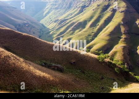 Pentes couvertes d'herbe dans une vallée des montagnes du Drakensberg central, en Afrique du Sud, en fin d'après-midi Banque D'Images