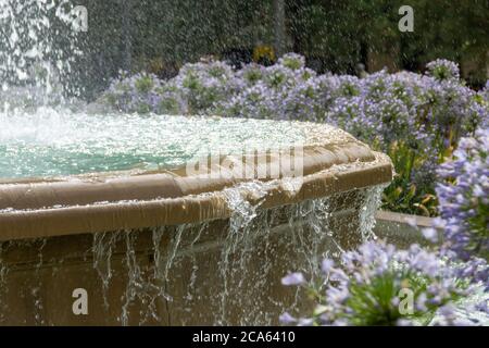 Fontaine de bataille à Grenade entourée de fleurs d'agapanthe pourpres (Agapanthus africanus) baignées dans l'eau rafraîchissante Banque D'Images