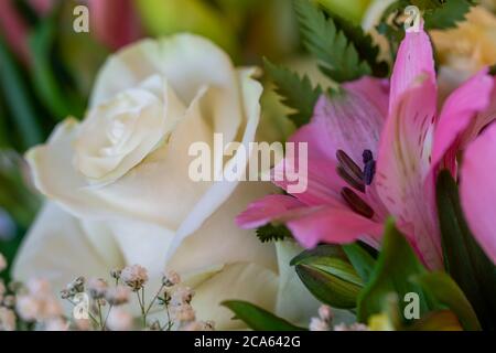 Vue rapprochée d'un bouquet de fleurs fraîches et variées avec des roses multicolores, des bourgeons, des fougères, du lisianthus Banque D'Images