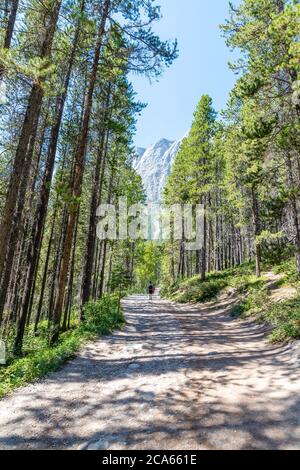 De grands pins entourent le sentier pittoresque des lacs Grassi, dans le pays de Canmore de Kananaskis, avec l'extrémité est du mont Rundle visible dans le Banque D'Images