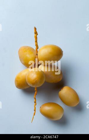 jaune frais dattes fruits isolat sur fond blanc Banque D'Images