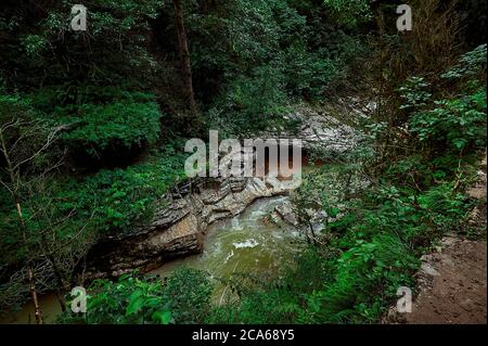 Une cascade dans une forêt Banque D'Images