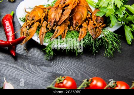 Langouste bouillie rouge sur une assiette blanche avec une aneth et du persil sur fond de bois sombre. Composition avec assiette blanche et écrevisses, poivre, ail, t Banque D'Images