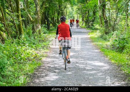 Vélo,vélo,balade,le long,de,la,route,pittoresque,Mawddach,Mawddach,sentier,populaire,le long,de,la,voie,ferroviaire,vue,entre, Dolgellau,et,Barmouth.cette,promenade,le long,rivière,et,rivière,estuaire,est,populaire,avec,cyclistes,randonneurs,randonneurs,et randonneurs,bois,Europe,Royaume-Uni,Royaume-Uni,Royaume-Uni,Royaume-Uni,Royaume-Uni,Royaume-Uni,Royaume-Uni,Royaume-Uni,et,forêt,Royaume-Uni,Royaume-Uni,Royaume-Uni,forêt,Royaume-Uni,Royaume-Uni,Royaume-Uni,Royaume-Uni,Royaume-Uni,Royaume-Uni Banque D'Images