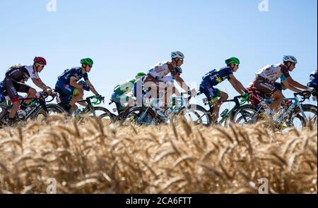 Saint-Quentin-Fallavier,France - Juillet 16, 2016 : le peloton équitation dans une plaine de blé au cours de l'étape 14 du Tour de France 2016. Banque D'Images