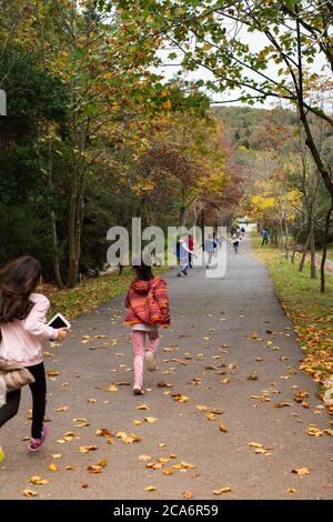 Enfants en train de courir sur une route avec des feuilles jaunes en automne Banque D'Images