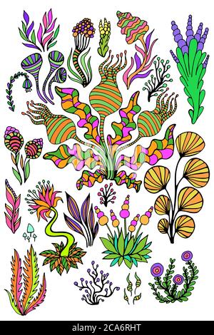Grand ensemble jucky été résumé doodle plantes surréalistes, fleurs, champignons, isolé sur fond blanc. Illustration de Vecteur
