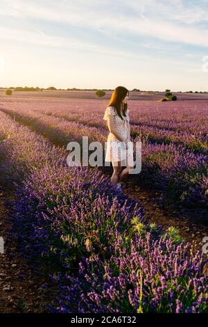 Belle femme en robe se promenant à travers un champ de lavande en fleur au coucher du soleil. Pendant les vacances d'été à Guadalajara, Espagne Banque D'Images