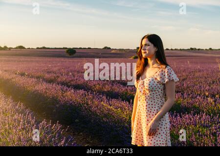 Belle femme en robe se promenant à travers un champ de lavande en fleur au coucher du soleil. Pendant les vacances d'été à Guadalajara, Espagne Banque D'Images