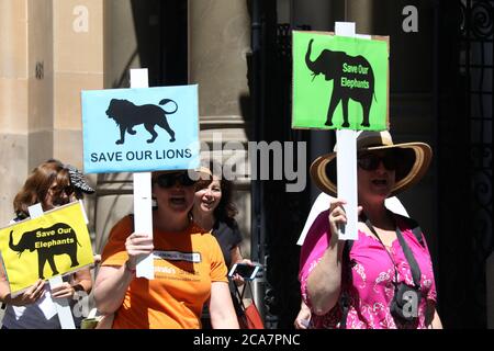 marche mondiale pour les éléphants, les rhinocéros et les lions Banque D'Images