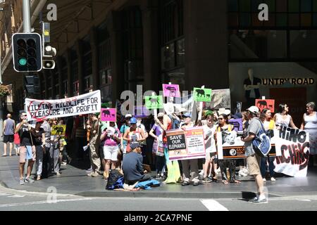 marche mondiale pour les éléphants, les rhinocéros et les lions Banque D'Images