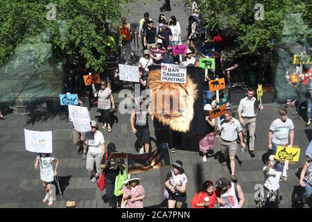 marche mondiale pour les éléphants, les rhinocéros et les lions Banque D'Images