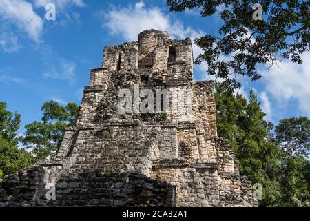 Structure 8I-13, El Castillo ou le Château dans les ruines de la ville maya de Muyil ou Chunyaxche dans la réserve mondiale de biosphère de Sian Ka'an UNESCO. Banque D'Images