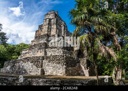 Structure 8I-13, El Castillo ou le Château dans les ruines de la ville maya de Muyil ou Chunyaxche dans la réserve mondiale de biosphère de Sian Ka'an UNESCO. Banque D'Images