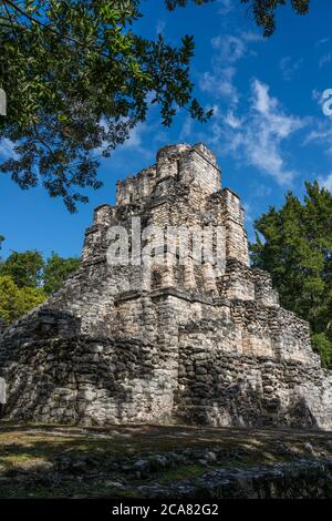 Structure 8I-13, El Castillo ou le Château dans les ruines de la ville maya de Muyil ou Chunyaxche dans la réserve mondiale de biosphère de Sian Ka'an UNESCO. Banque D'Images