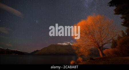 Saules d'hiver sur le lac Wakatipu sous le ciel nocturne, Queenstown, Nouvelle-Zélande Banque D'Images