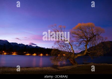 Image longue exposition d'un saule d'hiver sur le lac Wakatipu à l'aube avec les étoiles dans le ciel et les Remarkables au loin Banque D'Images