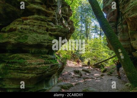 Sentier vers la gorge du diable, près d'Irrel, Parc naturel Südeifel, Rheinland-Pflanz, Allemagne, Banque D'Images