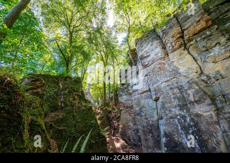 La gorge du Diable, gorge étroite et passable de rochers de grès, avec des gorges rocheuses escarpées, près d'Irrel, Parc naturel Südeifel, Rheinland-Pflanz, Allemagne Banque D'Images