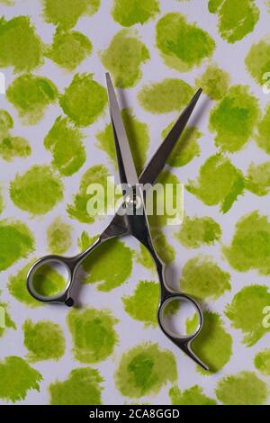 Paire de ciseaux de coiffure Creative Max les plus fins, ensemble de ciseaux de coiffure sur fond vert et blanc à motifs Banque D'Images