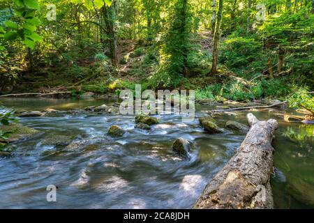Les cascades d'Irreler, rapides dans les tronçons inférieurs du Prüm entre Prümzurlay et Irrel, dans le district d'Eifel de Bitburg-Prüm, Rhénanie-Palatin Banque D'Images