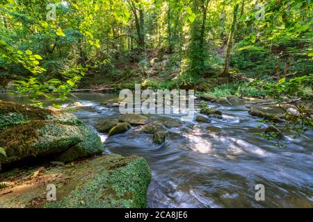 Les cascades d'Irreler, rapides dans les tronçons inférieurs du Prüm entre Prümzurlay et Irrel, dans le district d'Eifel de Bitburg-Prüm, Rhénanie-Palatin Banque D'Images