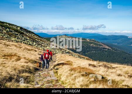 Randonneurs sur le chemin au-dessus de la ligne de bois, en automne, sommet de Szrenica à distance, montagnes de Karkonosze, parc national de Karkonosze, Basse-Silésie, Pologne Banque D'Images