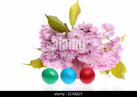 Bouquet de fleurs de sakura rose près de trois œufs de pâques verts, bleus et rouges isolés sur fond blanc. Concept de printemps et de vacances Banque D'Images