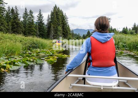 Un groupe de touristes pagaie leurs kayaks parmi les roseaux de la rivière des rêves d'or à Whistler, en Colombie-Britannique, au Canada Banque D'Images